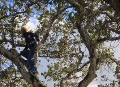 Summer Holidays: time to explore yourself and develop some antifragility article thumbnail