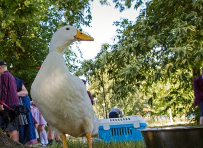 Outdoor Learning article thumbnail