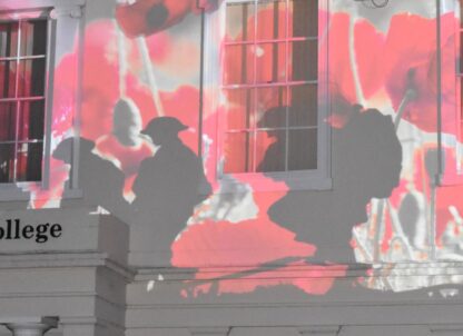 St Joseph’s College Façade Transformed into a Field of Remembrance Poppies article thumbnail